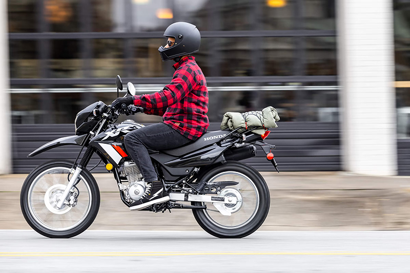 2023 Honda XR 150L at Martin Moto