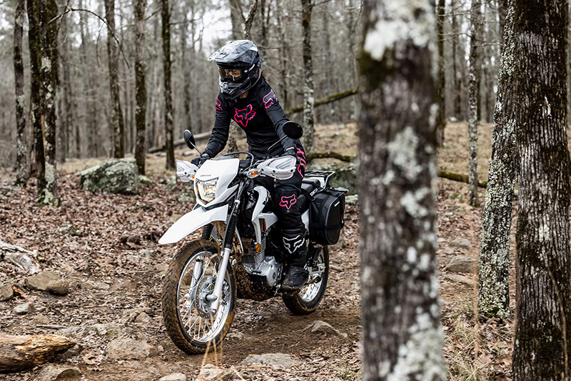 2023 Honda XR™ 150L at Sloans Motorcycle ATV, Murfreesboro, TN, 37129