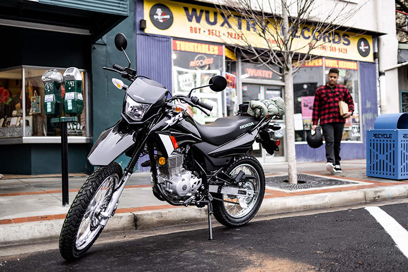 2023 Honda XR 150L at Martin Moto