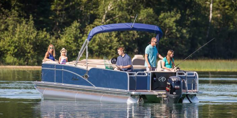 Catalina Rear Fish - 25 FT at Shift Digital - Website Access - Metric