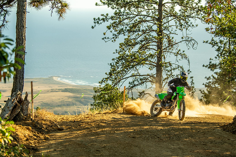 2024 Kawasaki KX 250X at Martin Moto