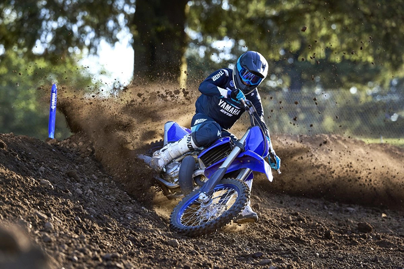 2024 Yamaha YZ 250 at Martin Moto