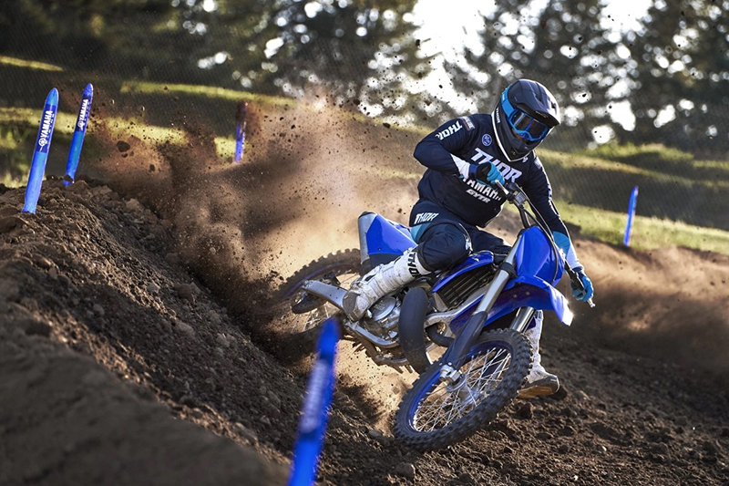 2024 Yamaha YZ 250 at Martin Moto