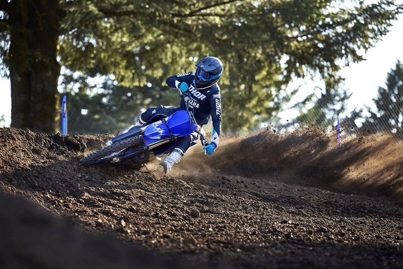 2024 Yamaha YZ 250 at Martin Moto