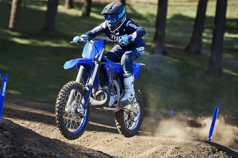 2024 Yamaha YZ 250 at Martin Moto