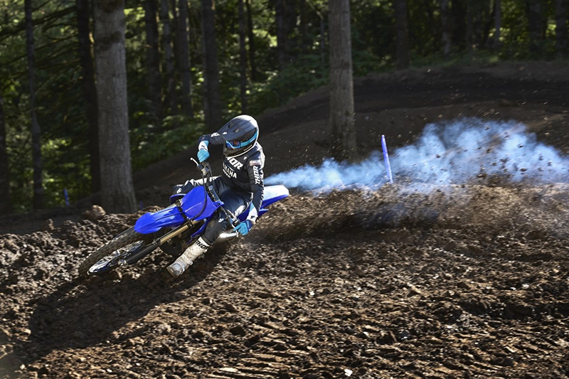 2024 Yamaha YZ 250 at Martin Moto