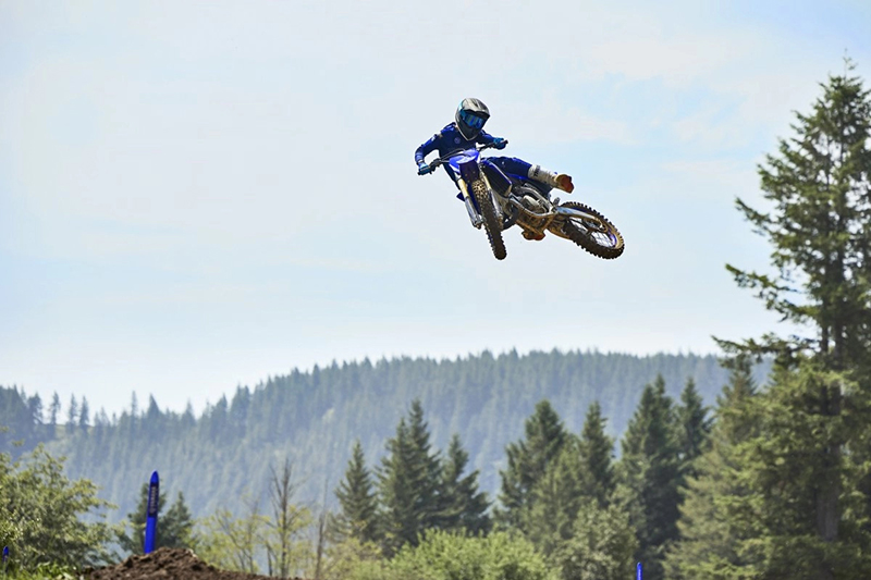 2024 Yamaha YZ 125 at Martin Moto