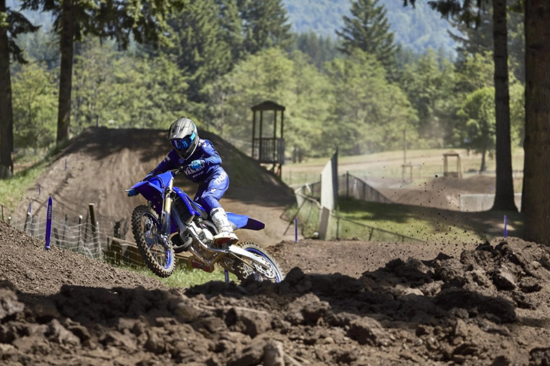 2024 Yamaha YZ 125 at Martin Moto