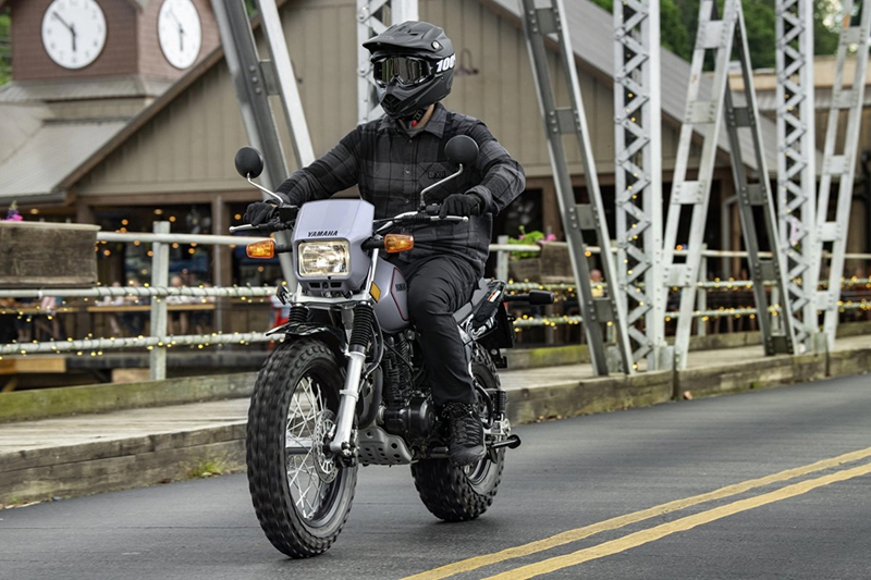 2024 Yamaha TW 200 at Arkport Cycles