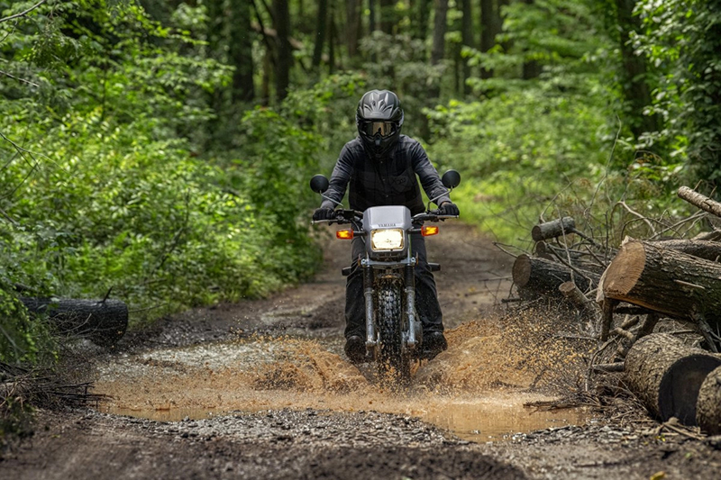 2024 Yamaha TW 200 at Martin Moto