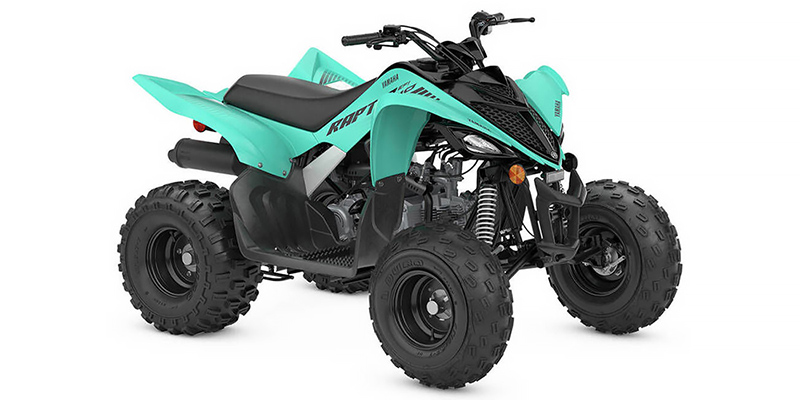 Raptor 110 at Friendly Powersports Slidell