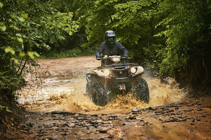 2024 Yamaha Kodiak 700 EPS SE at Martin Moto