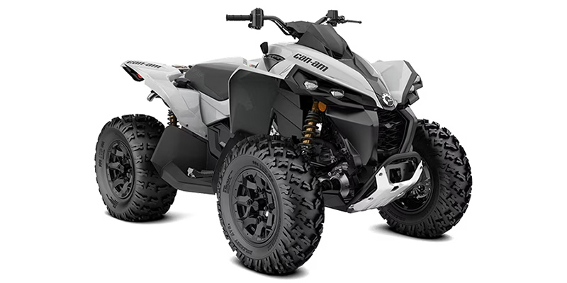 Renegade 650 at Power World Sports, Granby, CO 80446