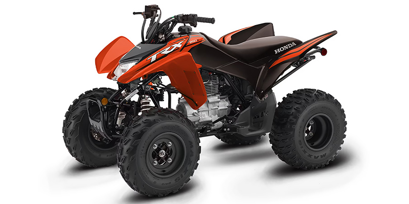 2024 Honda TRX® 250X at ATV Zone, LLC