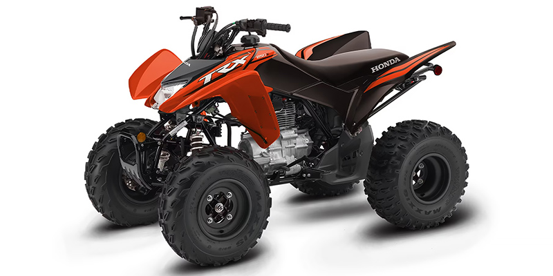 TRX250X at Friendly Powersports Baton Rouge