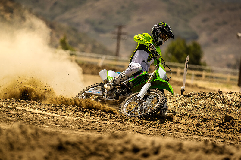 2024 Kawasaki KX 250 50th Anniversary Edition at Martin Moto