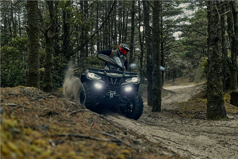 2024 CFMOTO CFORCE 1000 Overland at Randy's Cycle