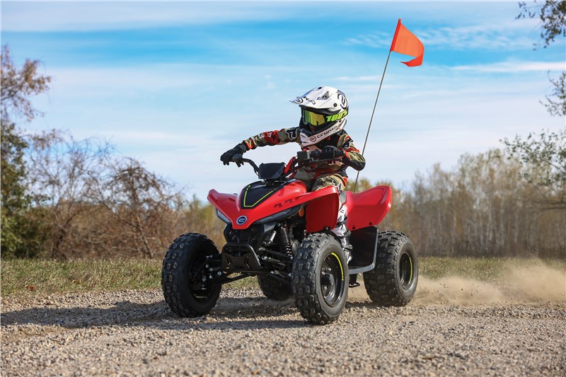 2024 CFMOTO CFORCE 110 at Randy's Cycle