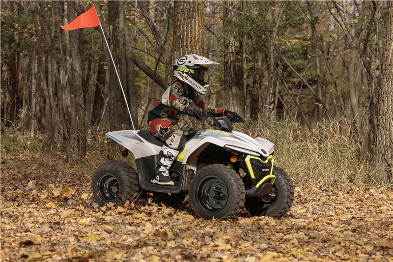 2024 CFMOTO CFORCE EV110 at Randy's Cycle