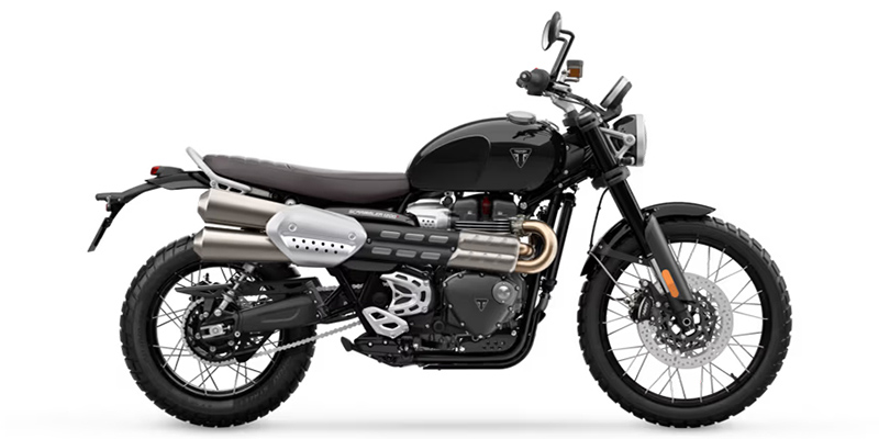 2024 Triumph Scrambler 1200 X at Martin Moto