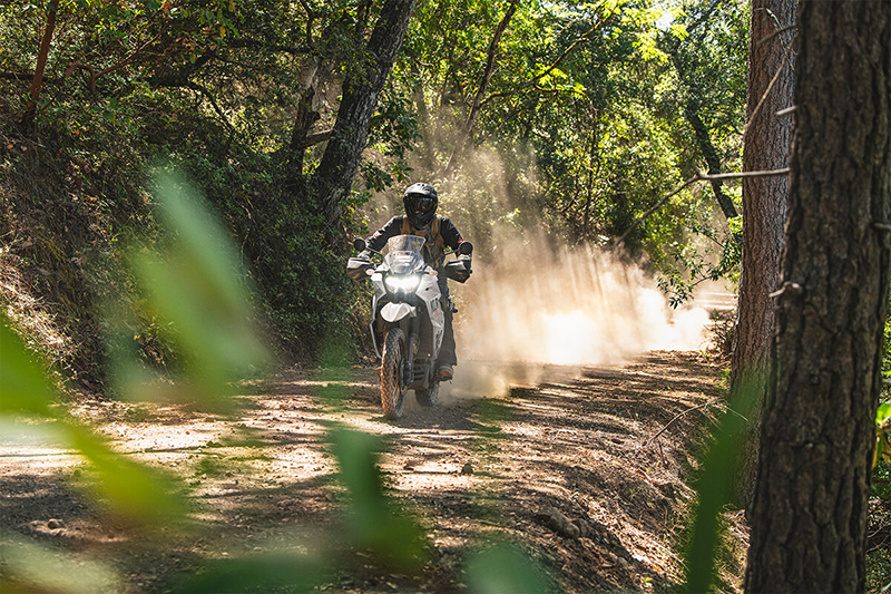 2024 Kawasaki KLR 650 Base at Martin Moto