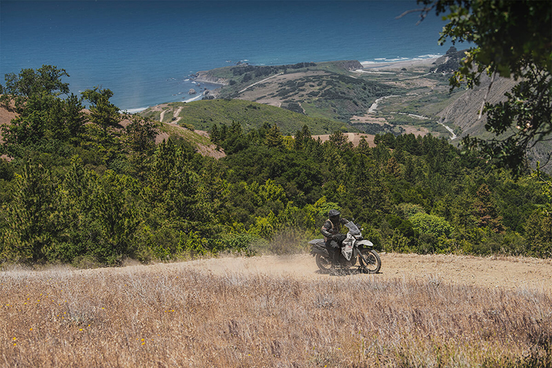 2024 Kawasaki KLR 650 Base at Martin Moto