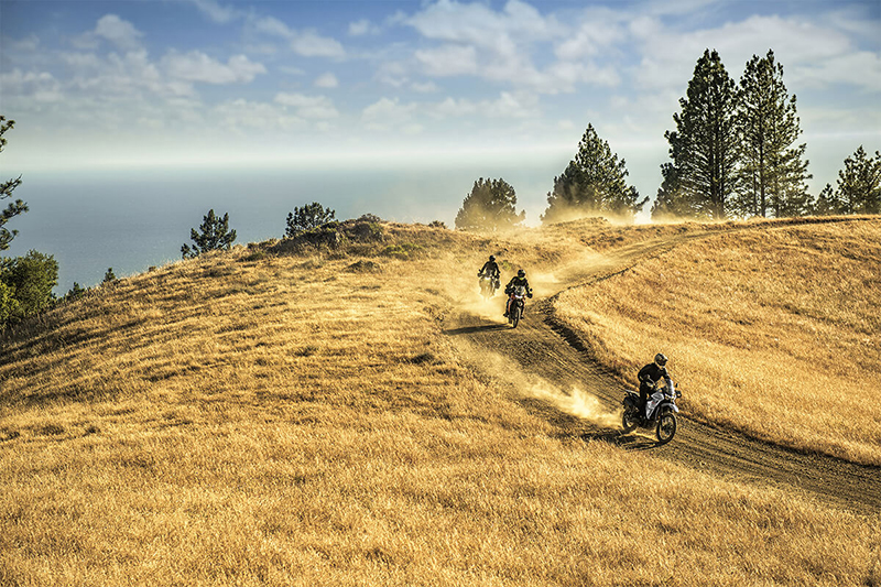 2024 Kawasaki KLR 650 S ABS at Martin Moto