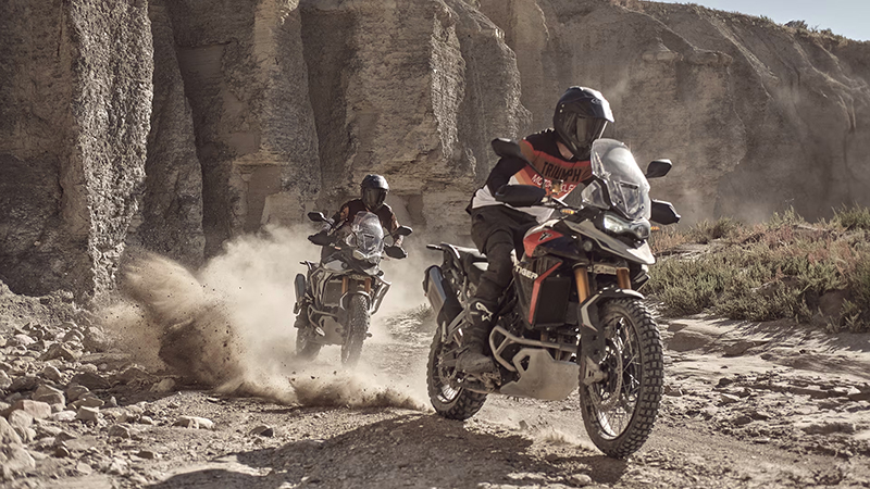 2024 Triumph Tiger 900 Rally Pro at Martin Moto