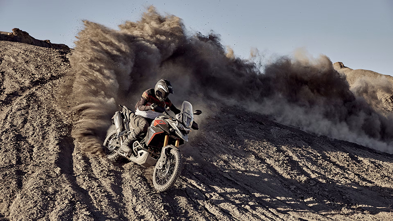 2024 Triumph Tiger 900 Rally Pro at Martin Moto