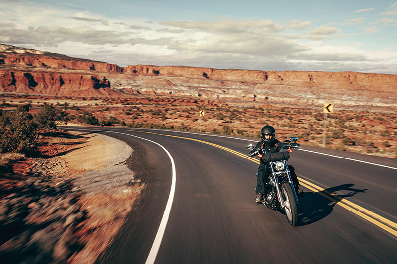 2024 Harley-Davidson Softail® Standard at Texarkana Harley-Davidson