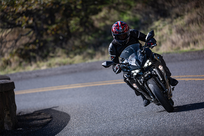 2024 Kawasaki Ninja® 500 Base at Powersports St. Augustine