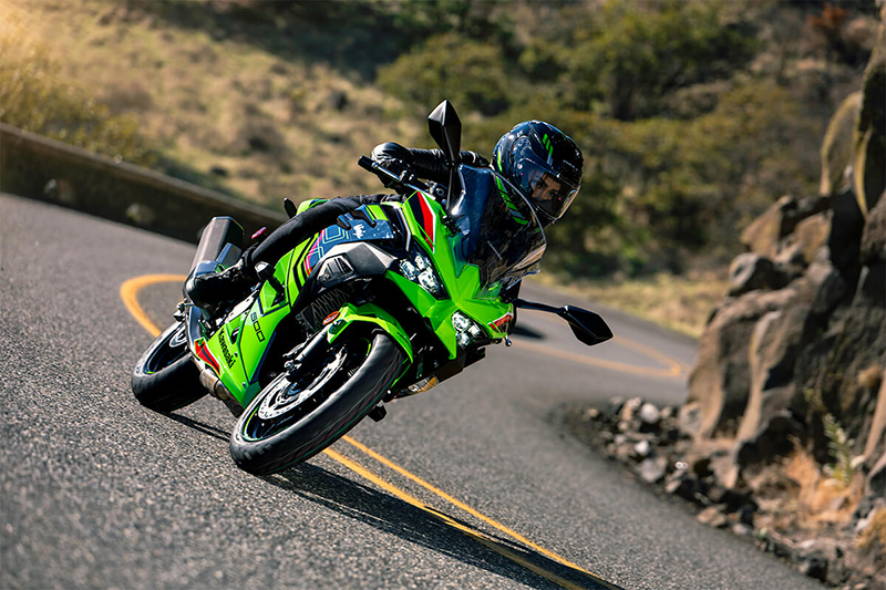 2024 Kawasaki Ninja® 500 KRT Edition SE ABS at Ehlerding Motorsports