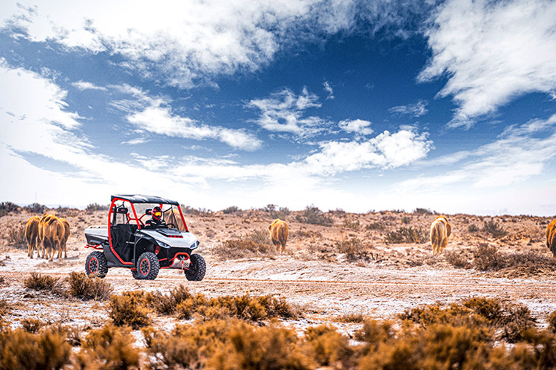 2024 Segway Powersports UT10 at Teddy Morse Grand Junction Powersports