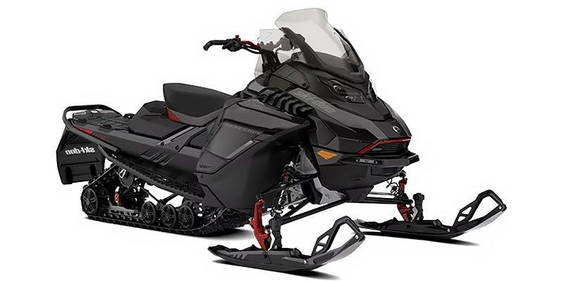 2025 Ski-Doo Renegade® Adrenaline With Enduro Package 900 ACE 137 1.25 at Hebeler Sales & Service, Lockport, NY 14094