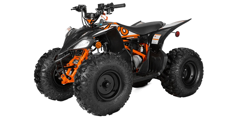 Predator 125 at Northstate Powersports