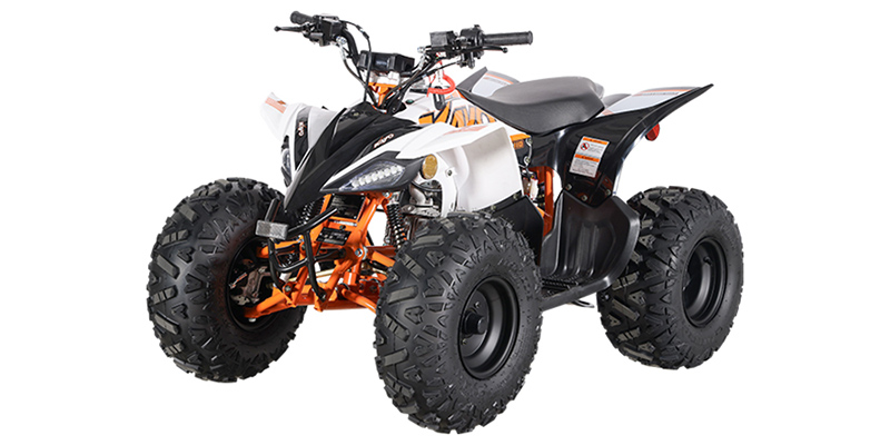 Predator 110 at Northstate Powersports