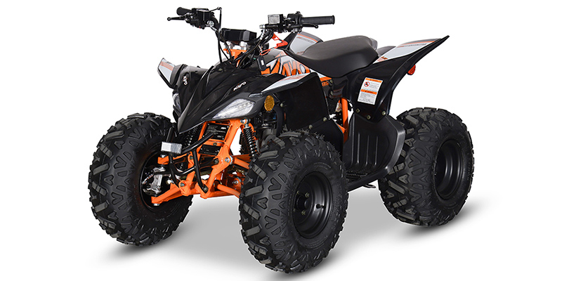 2024 Kayo Predator 125 EFI at Sloans Motorcycle ATV, Murfreesboro, TN, 37129