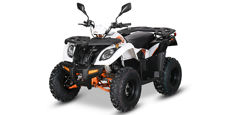 2024 Kayo Bull 300 EFI at Sloans Motorcycle ATV, Murfreesboro, TN, 37129