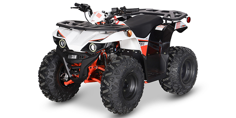 Bull 125 EFI at Shift Digital - Website Access - Metric