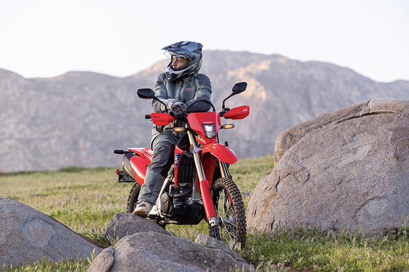 2025 Honda CRF® 450RL at Martin Moto