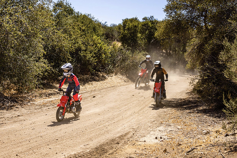 2025 Honda CRF® 50F at Southern Illinois Motorsports