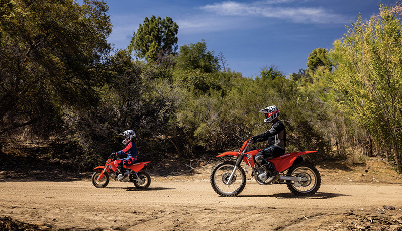 2025 Honda CRF® 50F at McKinney Outdoor Superstore