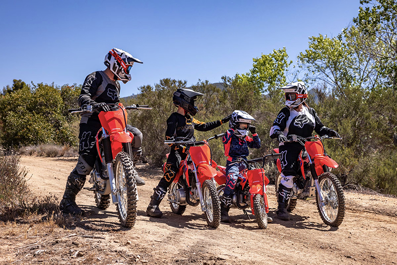 2025 Honda CRF® 50F at McKinney Outdoor Superstore