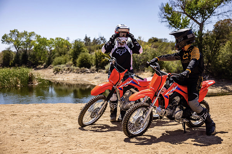 2025 Honda CRF 110F at ATVs and More
