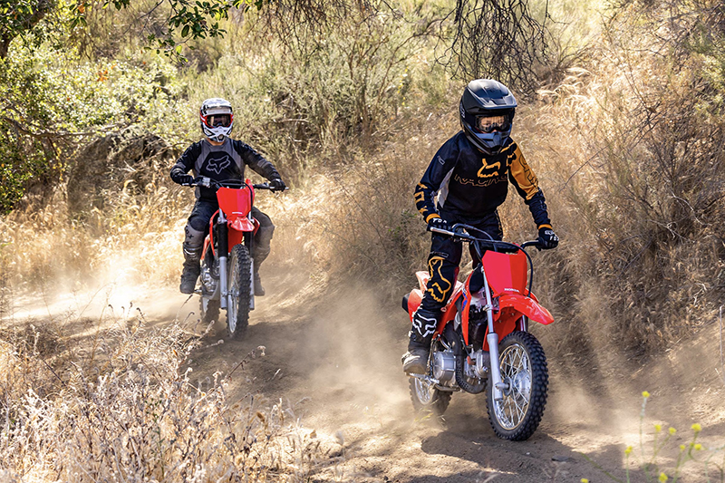 2025 Honda CRF 110F at ATVs and More