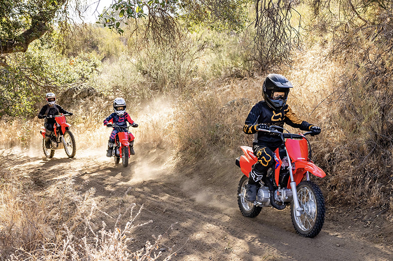 2025 Honda CRF® 110F at Southern Illinois Motorsports