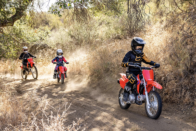 2025 Honda CRF 110F at ATVs and More