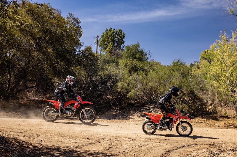 2025 Honda CRF 110F at ATVs and More