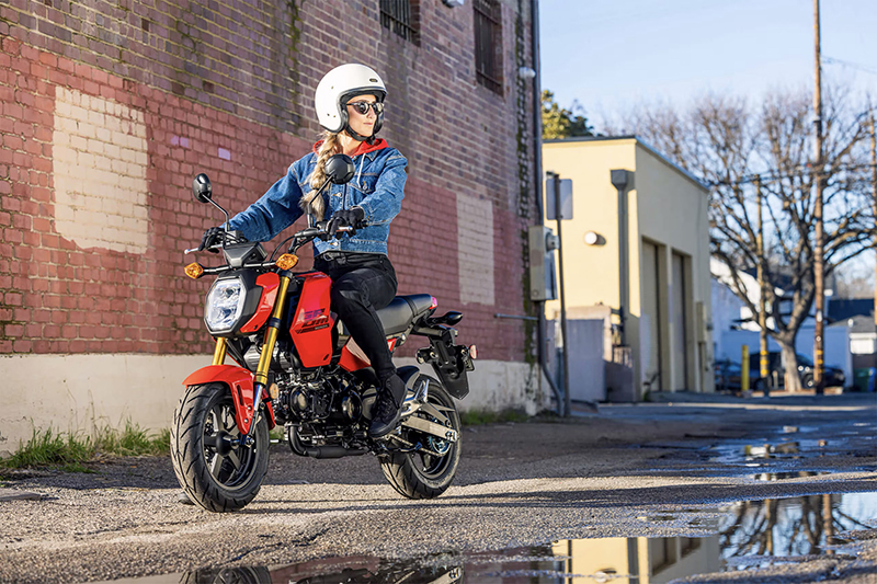 2025 Honda Grom™ ABS at Southern Illinois Motorsports