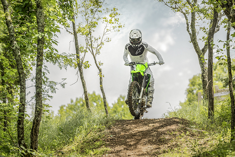 2025 Kawasaki KLX® 230R S at Dale's Fun Center, Victoria, TX 77904